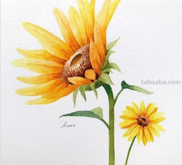这些水彩插画作品，看完整个世界都美好了！附教程