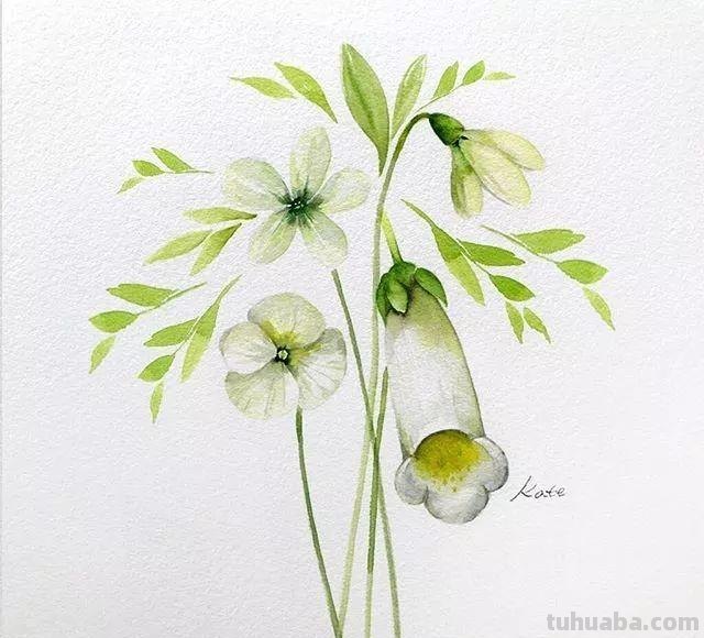 这些水彩插画作品，看完整个世界都美好了！附教程