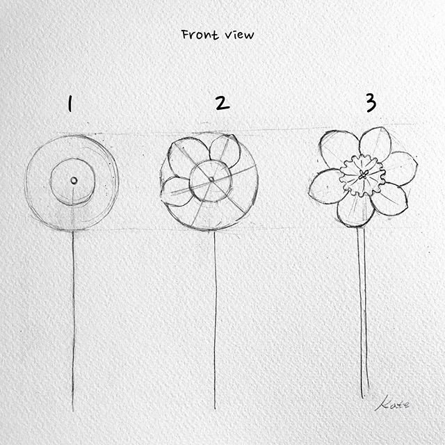 这些水彩插画作品，看完整个世界都美好了！附教程