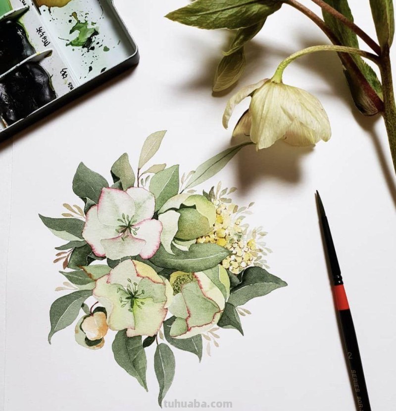 这些水彩插画作品，看完整个世界都美好了！附教程