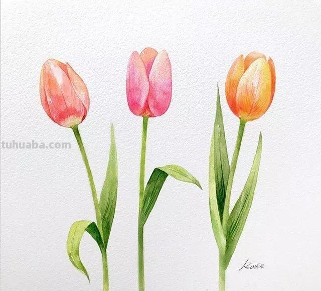 这些水彩插画作品，看完整个世界都美好了！附教程