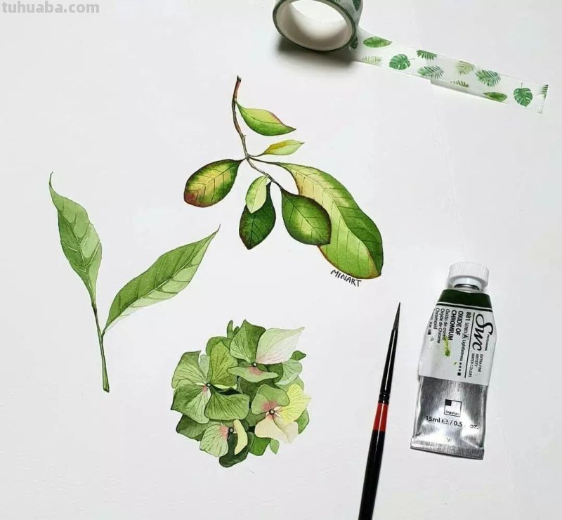 这些水彩插画作品，看完整个世界都美好了！附教程