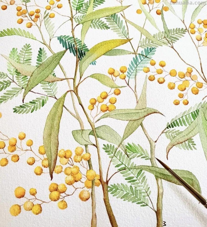 这些水彩插画作品，看完整个世界都美好了！附教程