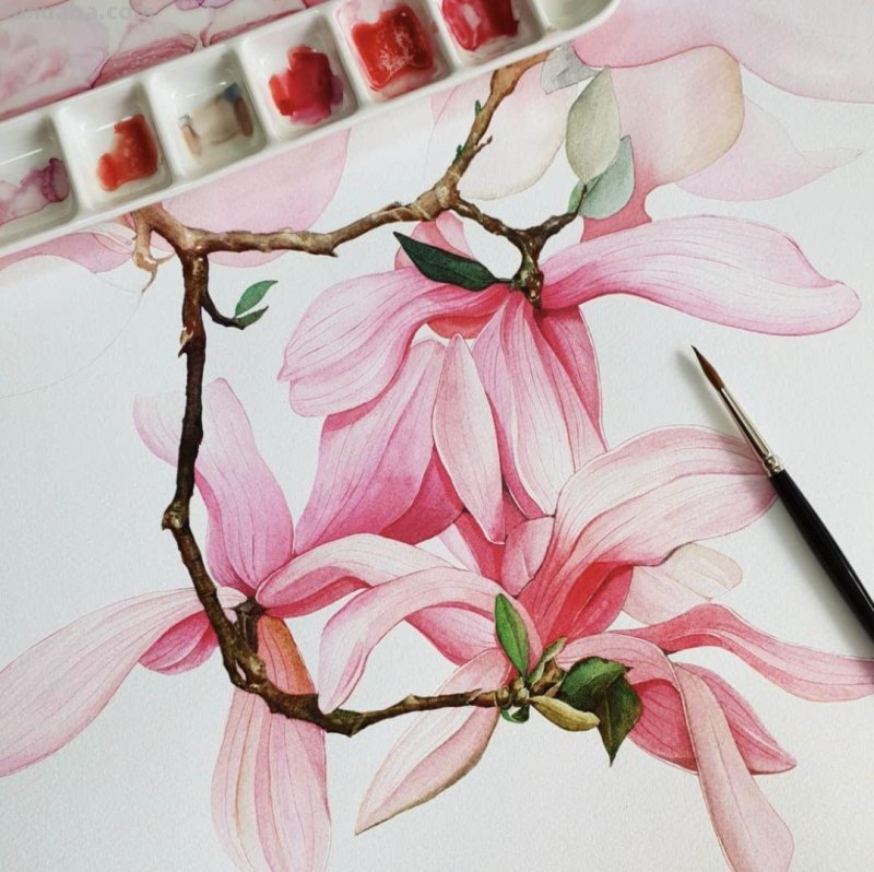 这些水彩插画作品，看完整个世界都美好了！附教程