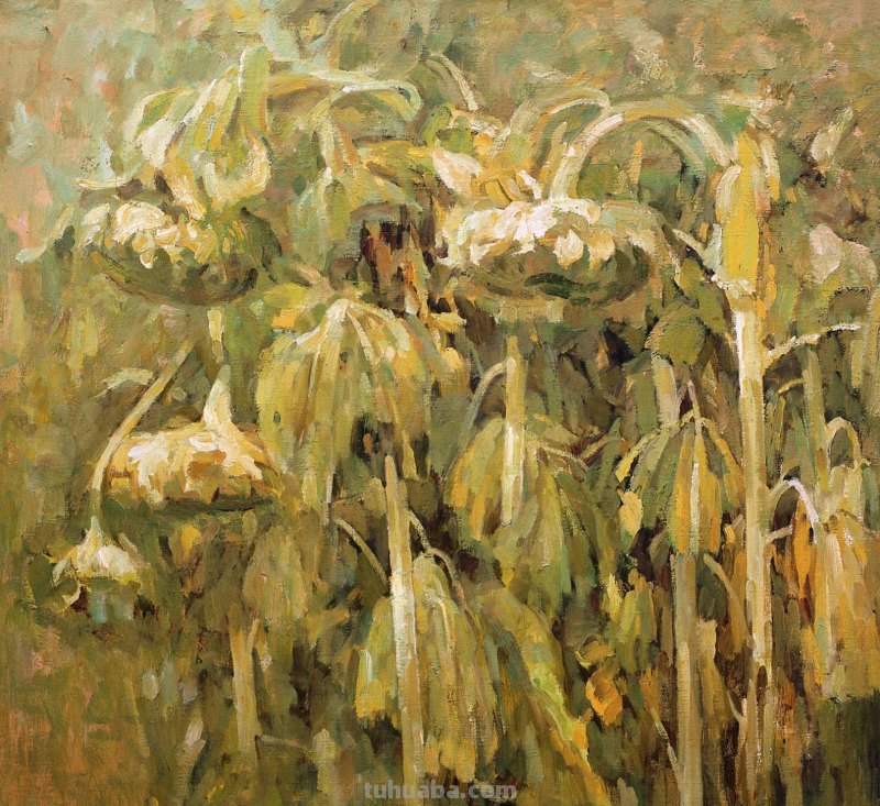 静物油画花卉大合集