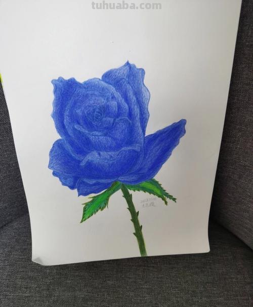 彩铅画蓝色怎么画才好看 如何画蓝色妖姬彩铅？