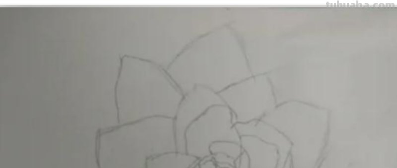 彩铅画蓝色怎么画才好看 如何画蓝色妖姬彩铅？