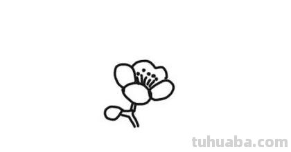 怎么画梅花简笔画图片 【梅花简笔画怎么画】梅花的画法？
