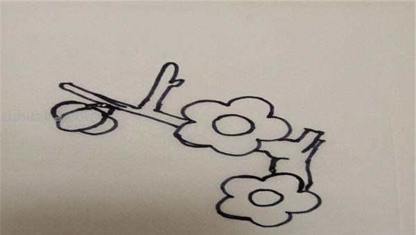怎么画梅花简笔画图片 【梅花简笔画怎么画】梅花的画法？