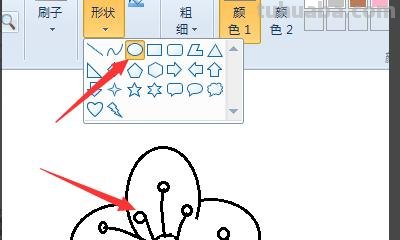怎么画梅花简笔画图片 【梅花简笔画怎么画】梅花的画法？