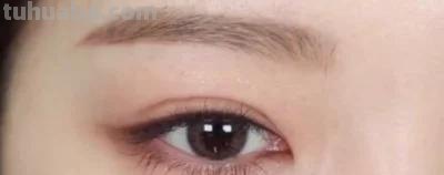 狐狸和猫手抄报怎么画卧蚕 怎样画卧蚕又简单又好看？