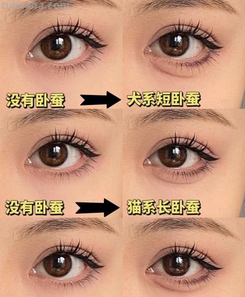 狐狸和猫手抄报怎么画卧蚕 怎样画卧蚕又简单又好看？