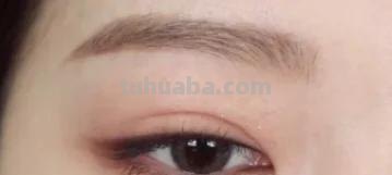 狐狸和猫手抄报怎么画卧蚕 怎样画卧蚕又简单又好看？