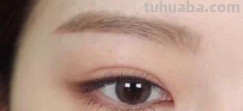 狐狸和猫手抄报怎么画卧蚕 怎样画卧蚕又简单又好看？