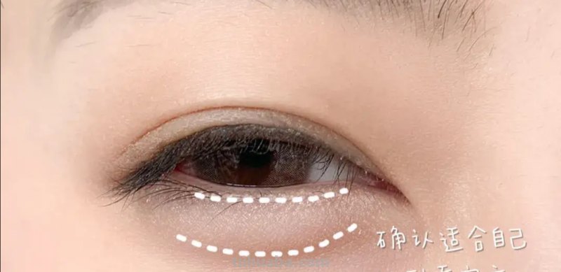 狐狸和猫手抄报怎么画卧蚕 怎样画卧蚕又简单又好看？