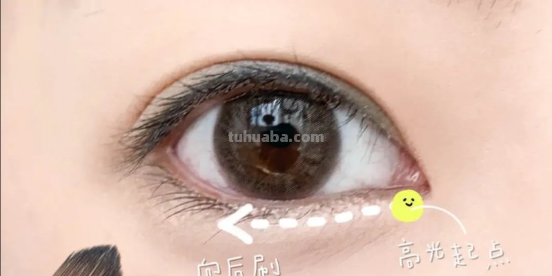 狐狸和猫手抄报怎么画卧蚕 怎样画卧蚕又简单又好看？