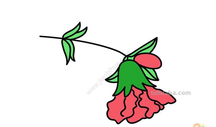 石榴花怎么画简笔画 石榴的简笔画怎么画，一看步骤就会画？