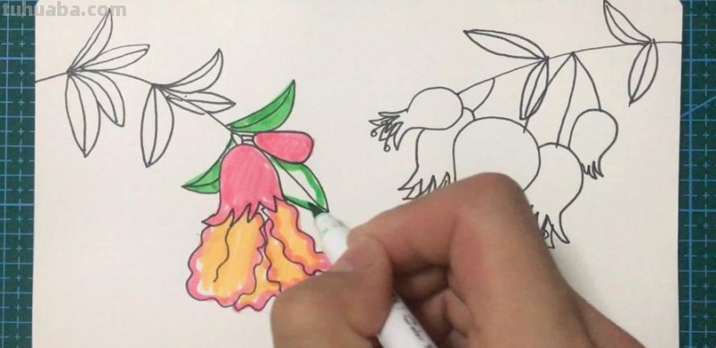 石榴花怎么画简笔画 石榴的简笔画怎么画，一看步骤就会画？