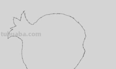 石榴花怎么画简笔画 石榴的简笔画怎么画，一看步骤就会画？