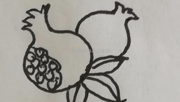 石榴花怎么画简笔画 石榴的简笔画怎么画，一看步骤就会画？