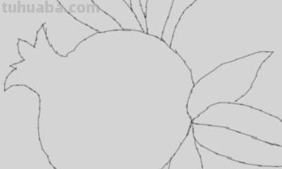 石榴花怎么画简笔画 石榴的简笔画怎么画，一看步骤就会画？