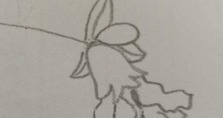 石榴花怎么画简笔画 石榴的简笔画怎么画，一看步骤就会画？