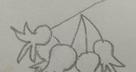 石榴花怎么画简笔画 石榴的简笔画怎么画，一看步骤就会画？