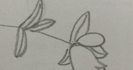 石榴花怎么画简笔画 石榴的简笔画怎么画，一看步骤就会画？