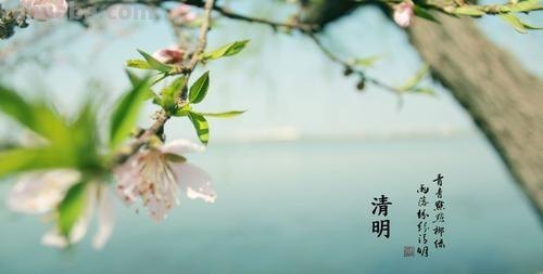 清明节手抄报设计图怎么 怎样用word做清明小报？