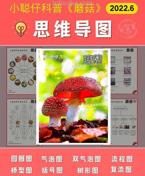 为什么要做蘑菇思维导图 蘑菇发明的意义？