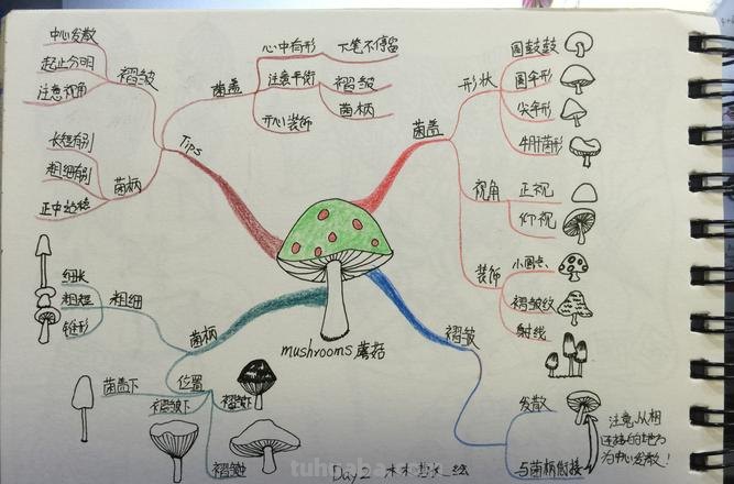 为什么要做蘑菇思维导图 蘑菇发明的意义？