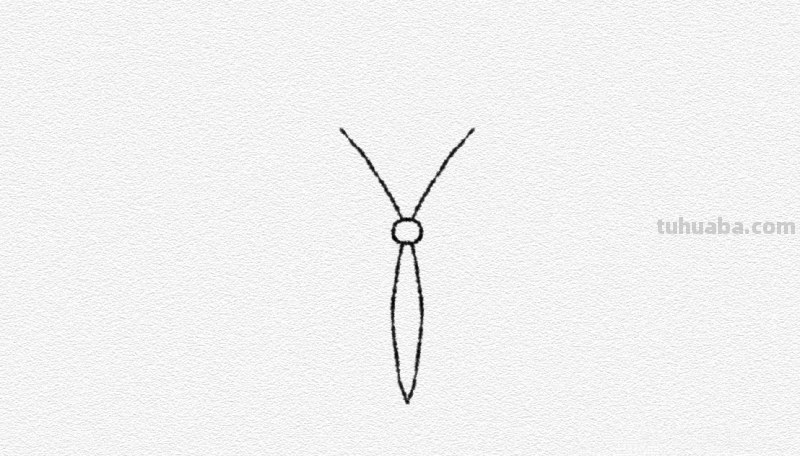 彩铅画的漂亮蝴蝶怎么画 儿童彩铅画教程入门零基础？