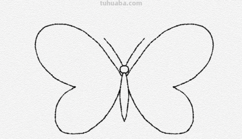 彩铅画的漂亮蝴蝶怎么画 儿童彩铅画教程入门零基础？