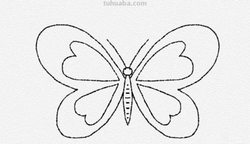 彩铅画的漂亮蝴蝶怎么画 儿童彩铅画教程入门零基础？