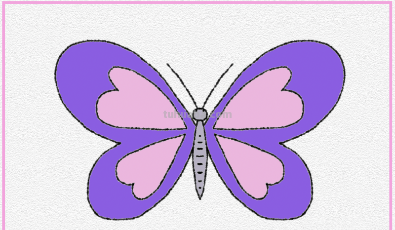 彩铅画的漂亮蝴蝶怎么画 儿童彩铅画教程入门零基础？