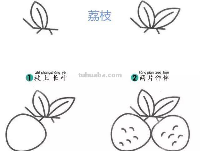 怎么画水果简笔画图片 怎样画简单又好看的水果？