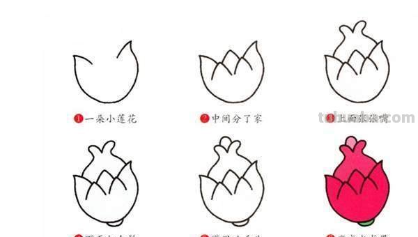 怎么画水果简笔画图片 怎样画简单又好看的水果？