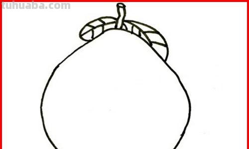 怎么画水果简笔画图片 怎样画简单又好看的水果？