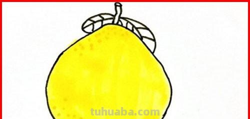 怎么画水果简笔画图片 怎样画简单又好看的水果？