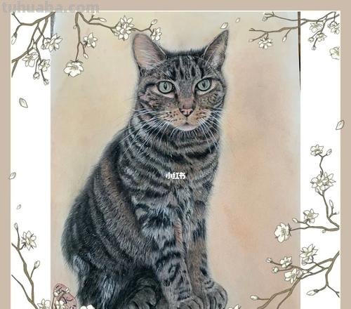 日本19岁插画少年用彩铅画猫火了,“我怀疑他把猫摁在了纸上”!