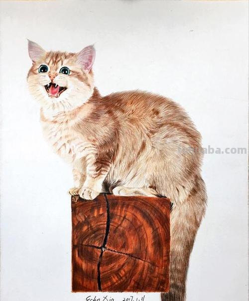 日本19岁插画少年用彩铅画猫火了,“我怀疑他把猫摁在了纸上”!
