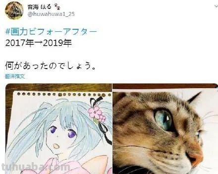日本19岁插画少年用彩铅画猫火了，“我怀疑他把猫摁在了纸上”！