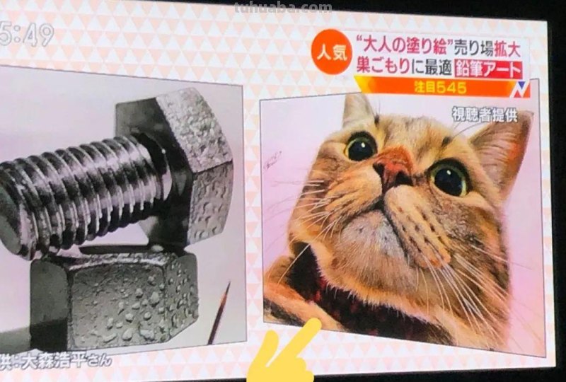 日本19岁插画少年用彩铅画猫火了，“我怀疑他把猫摁在了纸上”！