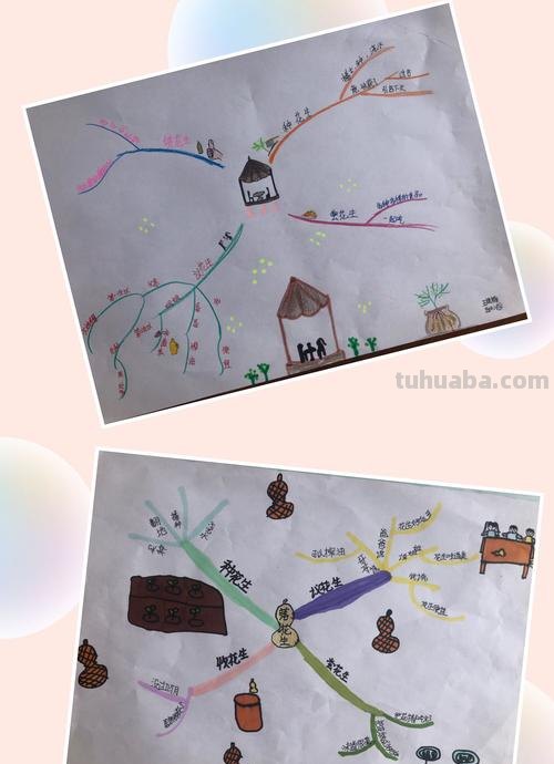 思维导图怎么给孩子讲解 小学思维导图入门讲解？