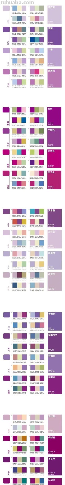 色彩搭配条：打造时尚个性的绝佳利器 