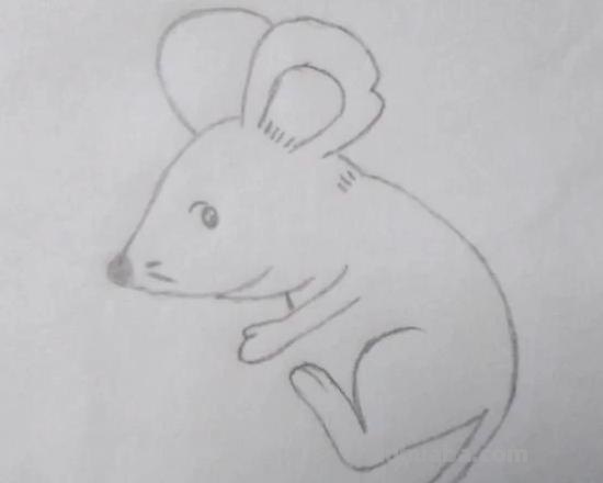 怎么画老鼠简笔画图片 幼儿美工：[6]简笔画---猫和老鼠？