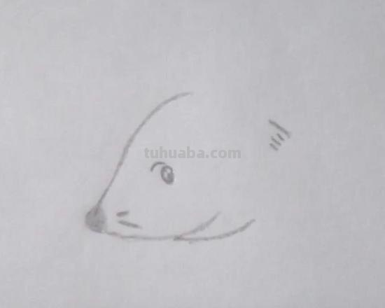 怎么画老鼠简笔画图片 幼儿美工：[6]简笔画---猫和老鼠？