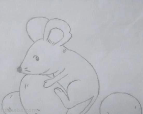 怎么画老鼠简笔画图片 幼儿美工：[6]简笔画---猫和老鼠？