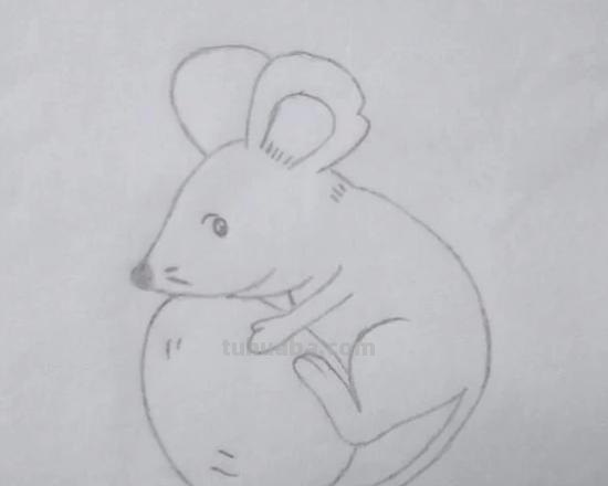 怎么画老鼠简笔画图片 幼儿美工：[6]简笔画---猫和老鼠？