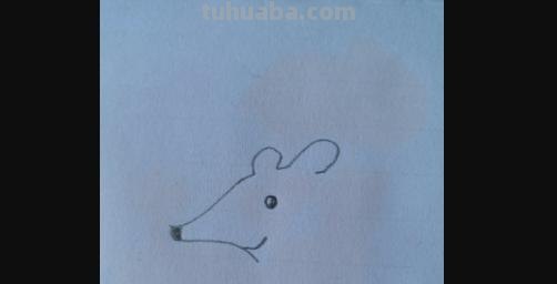怎么画老鼠简笔画图片 幼儿美工：[6]简笔画---猫和老鼠？